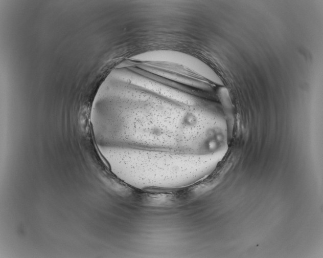 X0000112360237200909031916