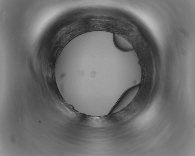 X0000112360239200909031916