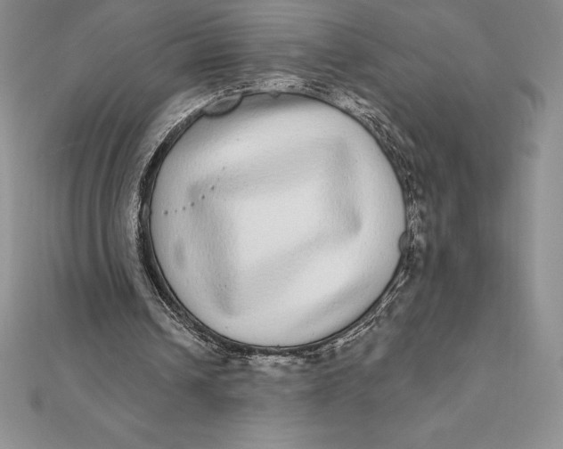 X0000112360242200909031916