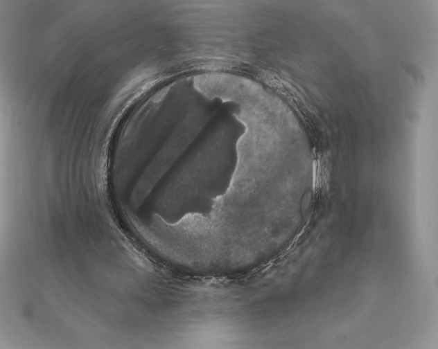 X0000112360243200909031916