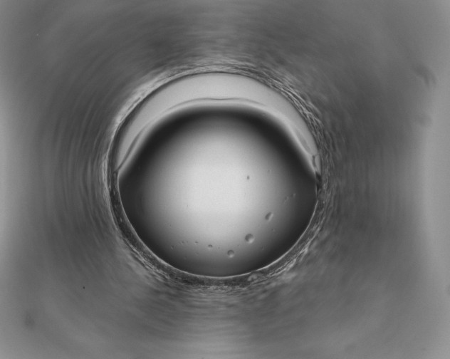 X0000112360244200909031916