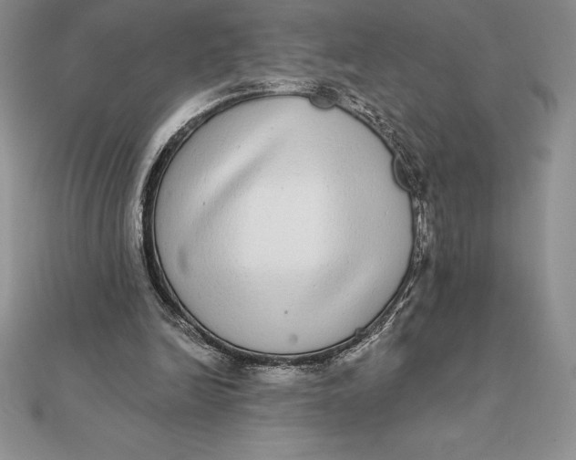 X0000112360246200909031916