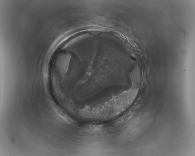 X0000112360247200909031916