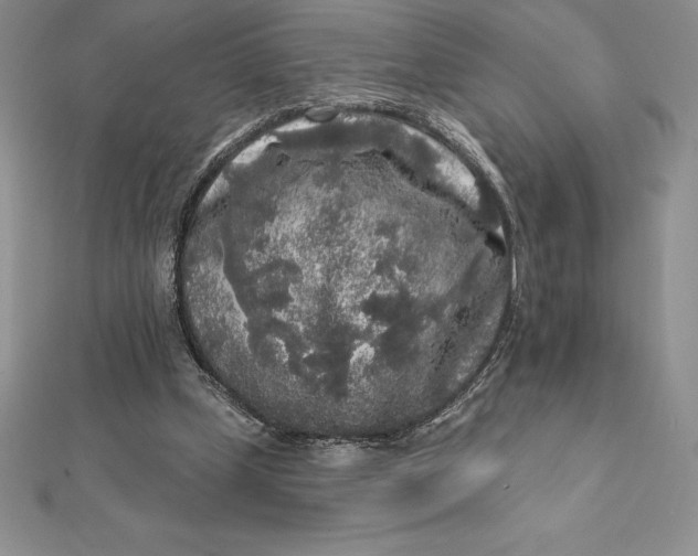 X0000112360249200909031916