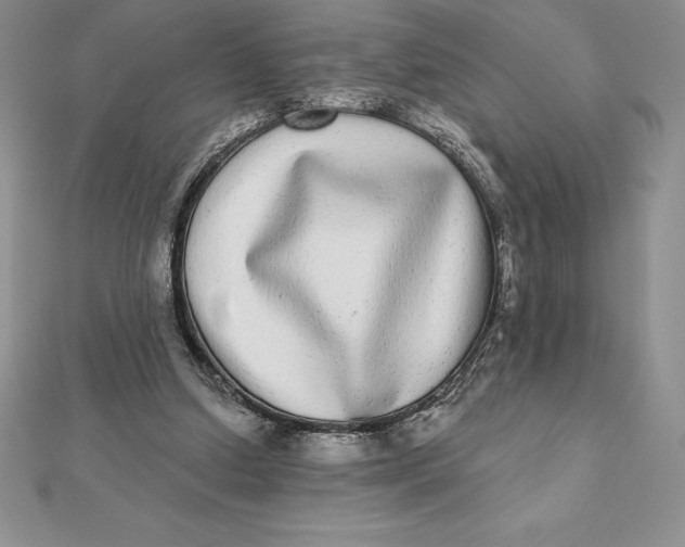 X0000112360250200909031916