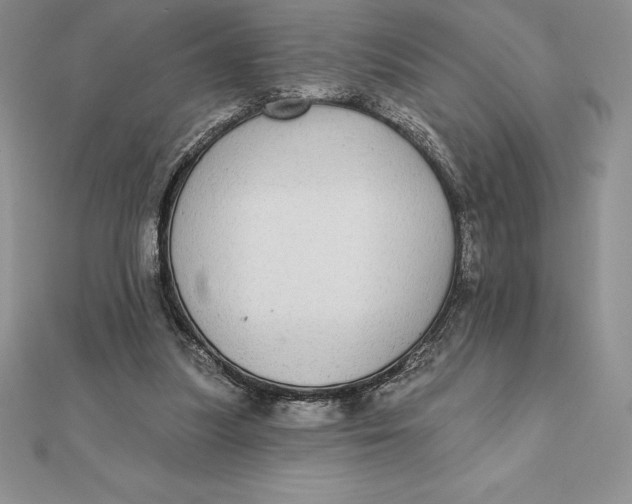 X0000112360251200909031916