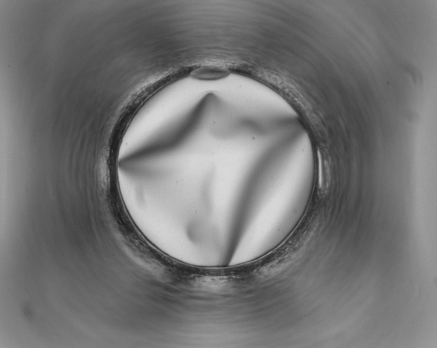 X0000112360252200909031916