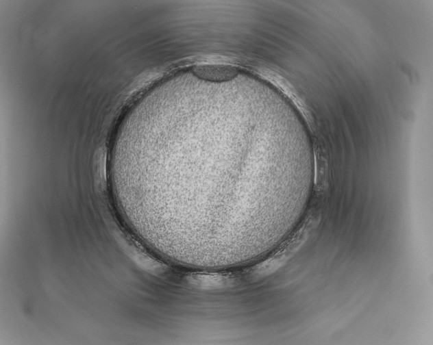 X0000112360253200909031916