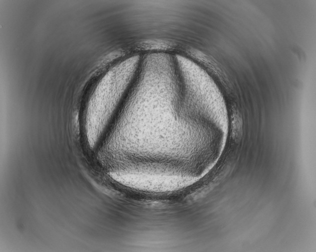 X0000112360254200909031916
