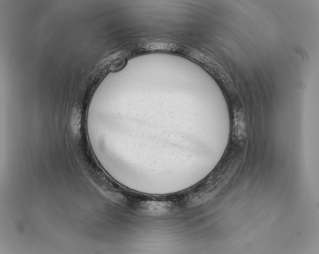 X0000112360255200909031916