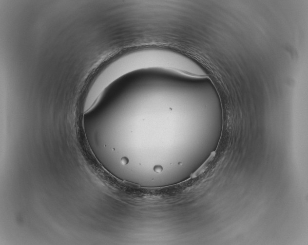X0000112360256200909031916
