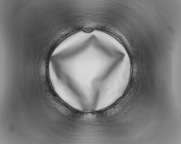 X0000112360257200909031916