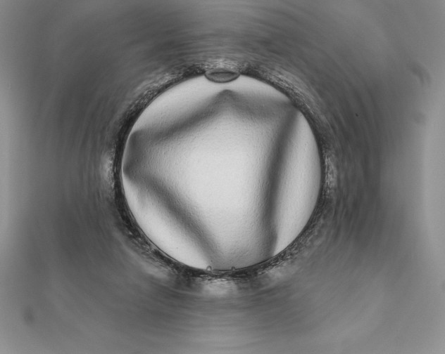 X0000112360258200909031916