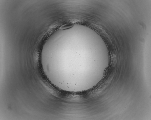 X0000112360260200909031916