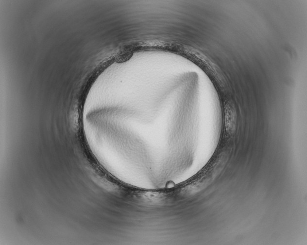 X0000112360261200909031916