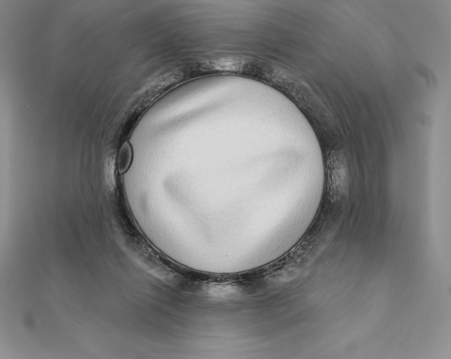 X0000112360262200909031916