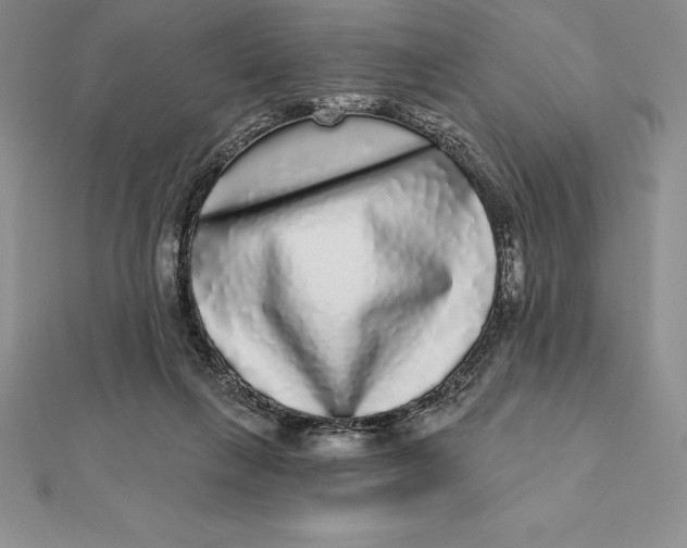 X0000112360263200909031916