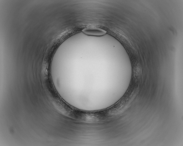 X0000112360264200909031916