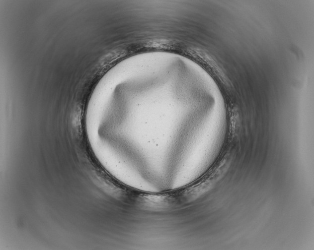 X0000112360265200909031916