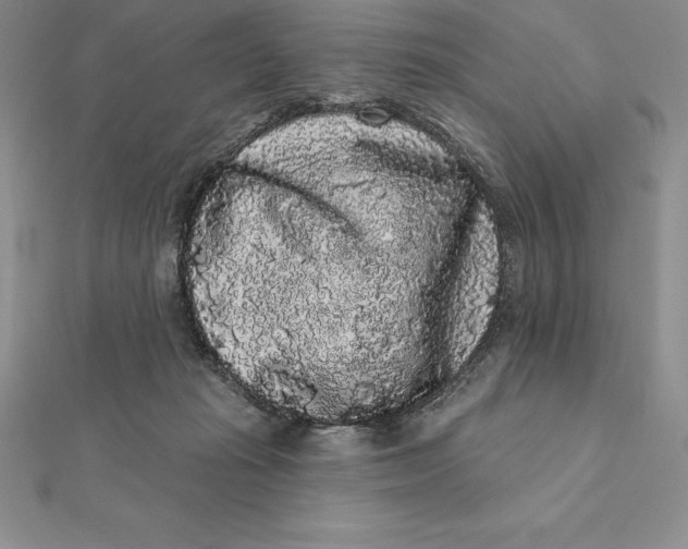 X0000112360269200909031916