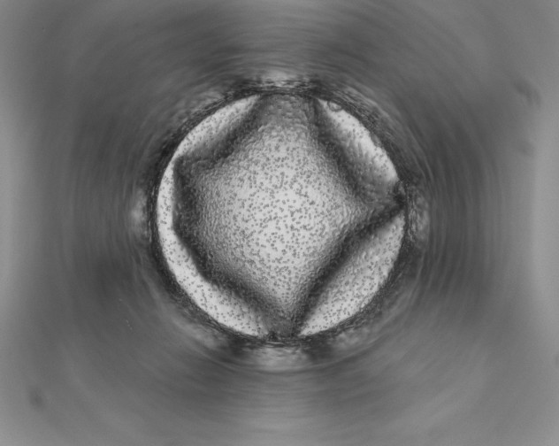 X0000112360270200909031916