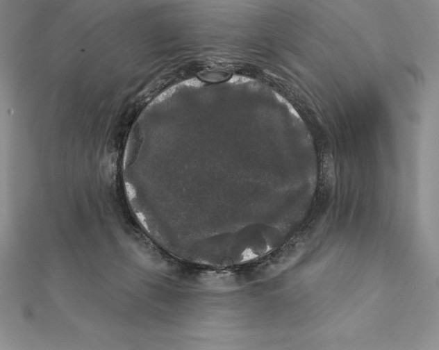 X0000112360271200909031916