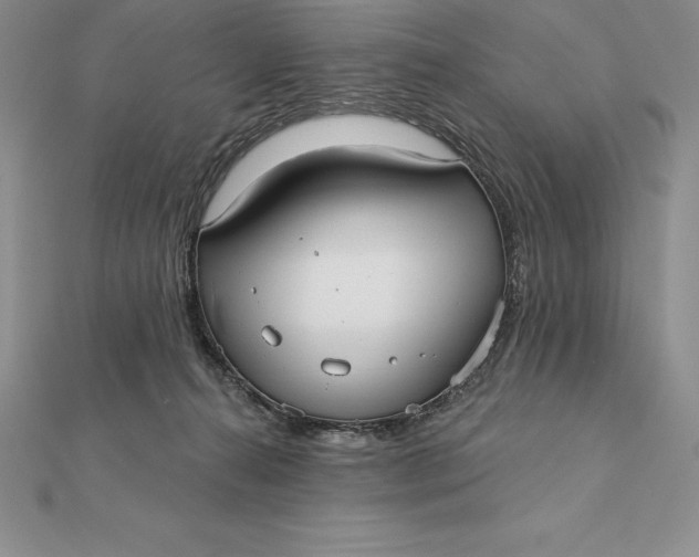 X0000112360272200909031916