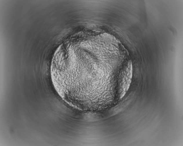 X0000112360273200909031916