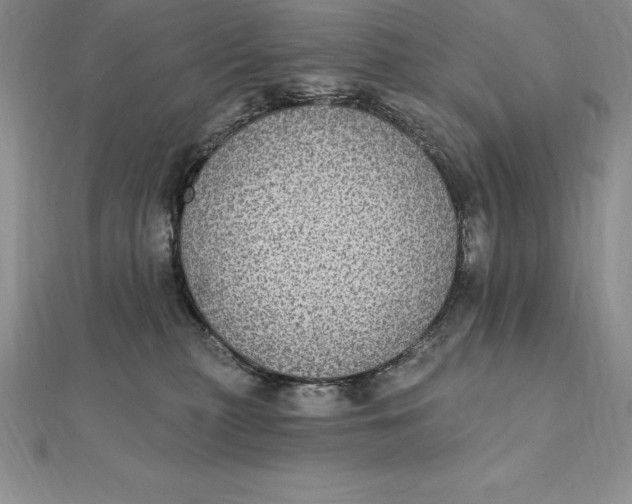 X0000112360279200909031916