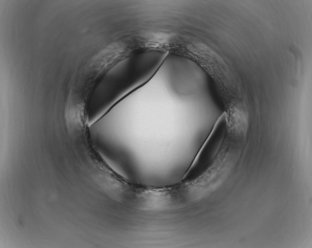 X0000112360280200909031916