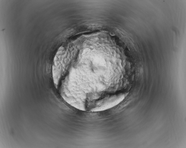 X0000112360281200909031916