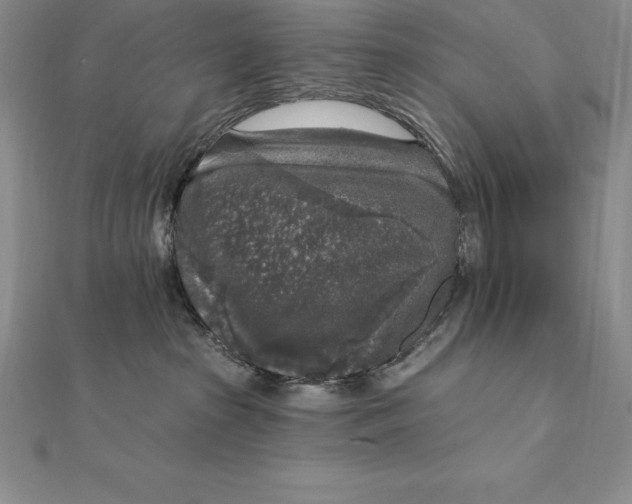X0000112360285200909031916