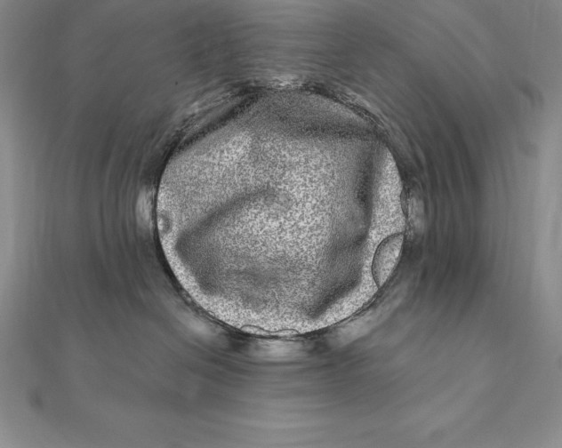X0000112360286200909031916