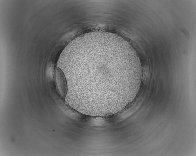X0000112360287200909031916