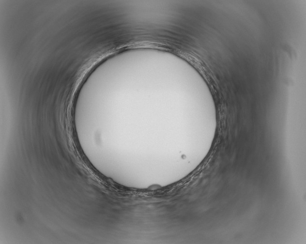 X0000112360289200909031916