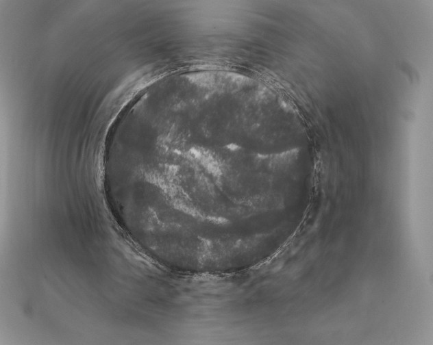 X0000112360290200909031916