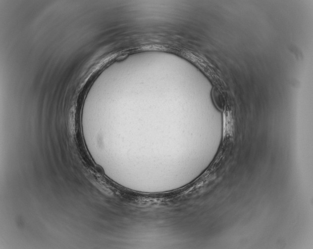 X0000112360291200909031916