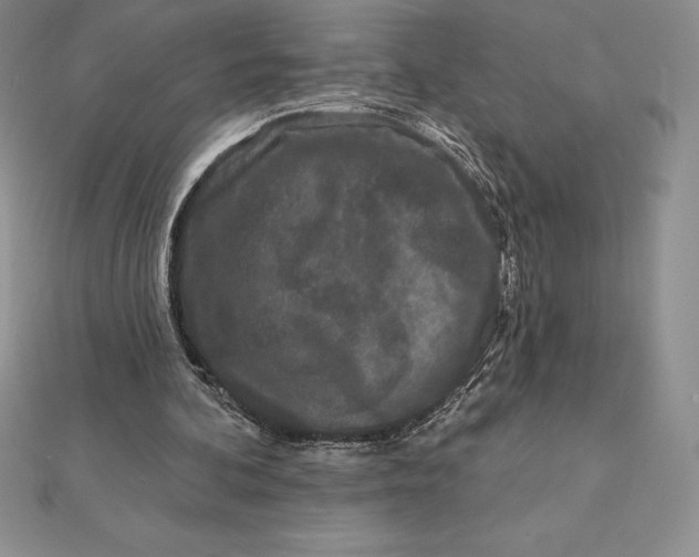 X0000112360292200909031916