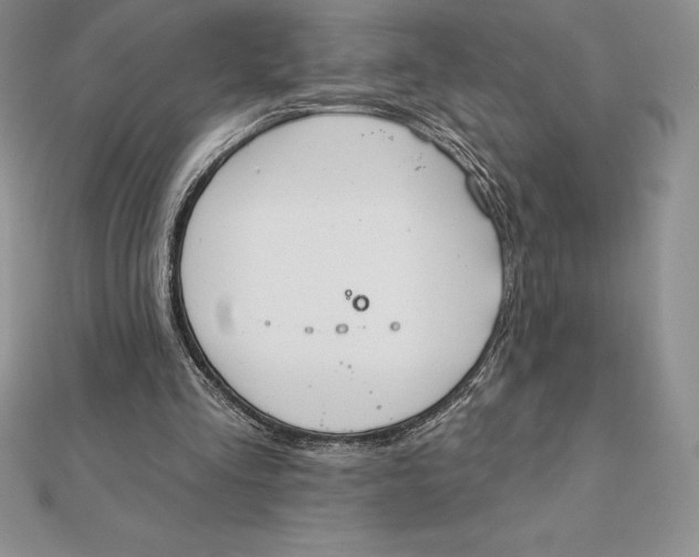 X0000112360293200909031916