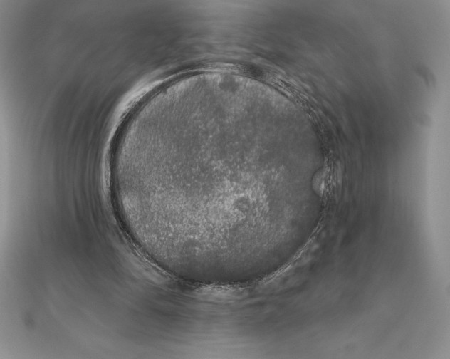 X0000112360294200909031916