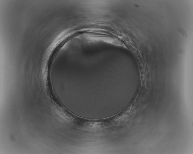 X0000112360295200909031916
