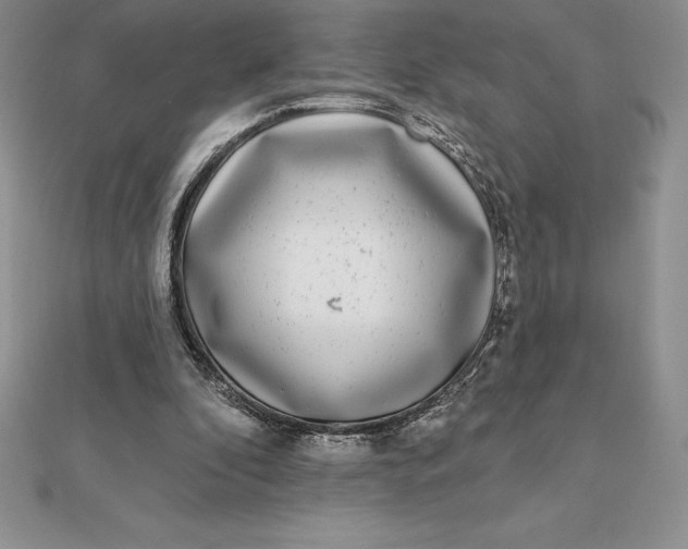 X0000112360296200909031916