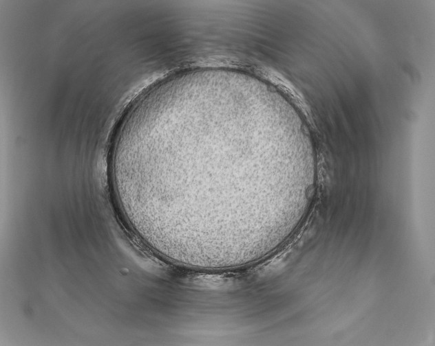 X0000112360298200909031916