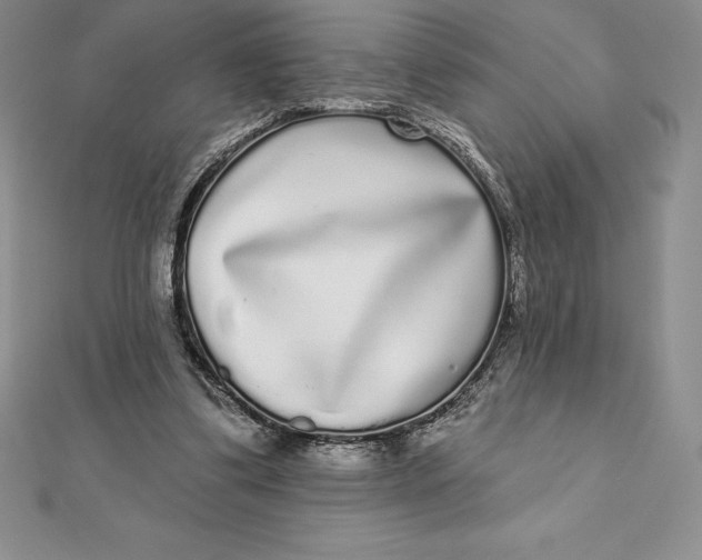 X0000112360299200909031916