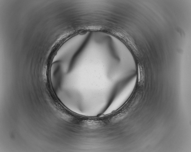 X0000112360300200909031916