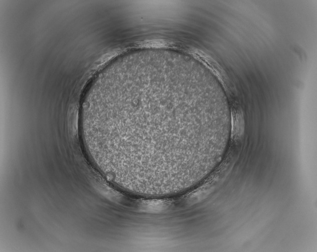 X0000112360301200909031916