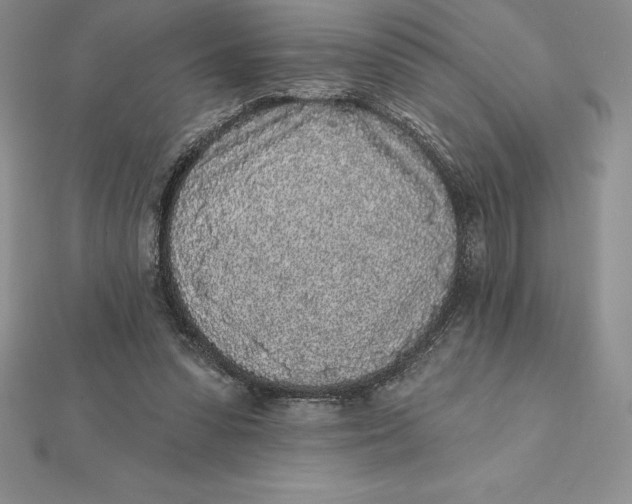 X0000112360303200909031916