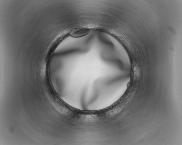 X0000112360304200909031916