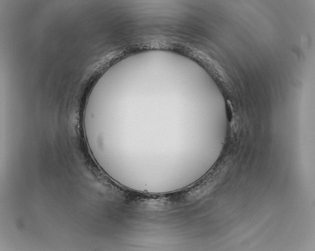 X0000112360306200909031916
