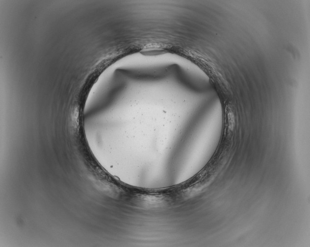 X0000112360308200909031916